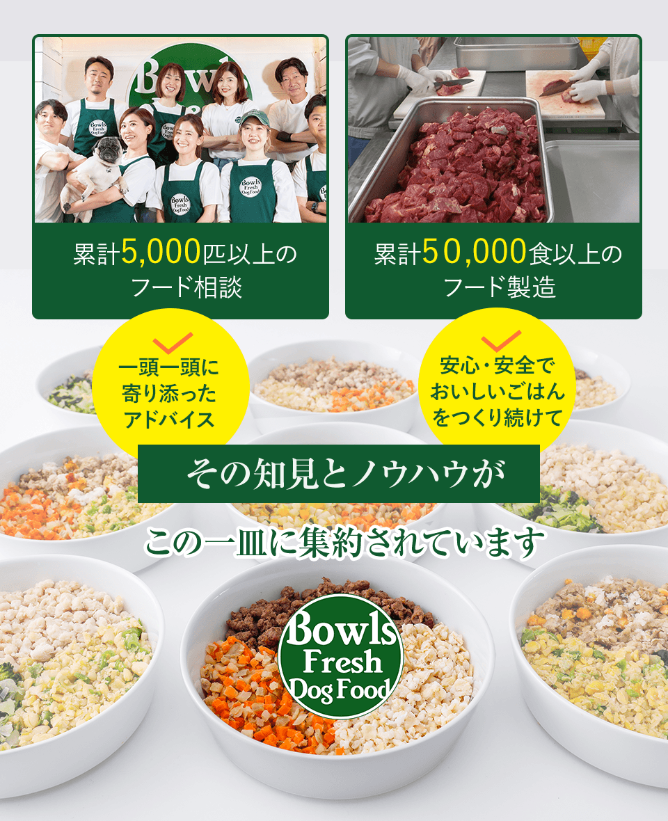 累計5,000匹以上のフード相談と累計50,000食以上のフード製造