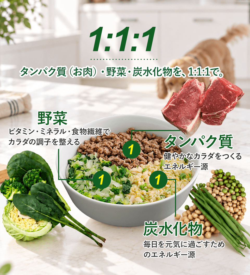 3色の理由 1:1:1