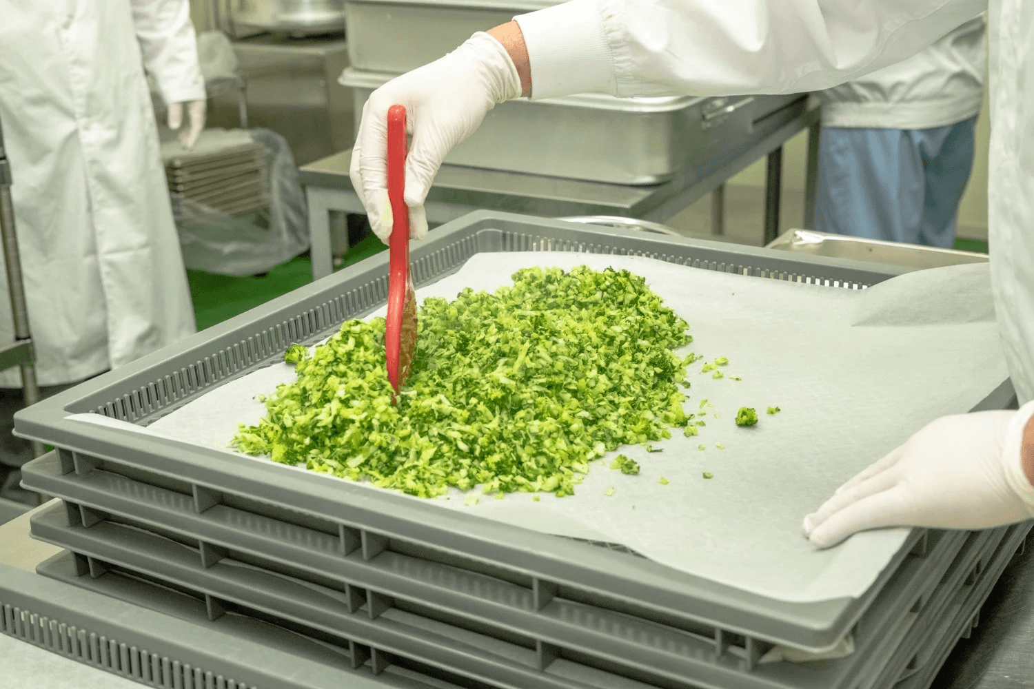 みじん切りにした野菜をトレーに広げる工程