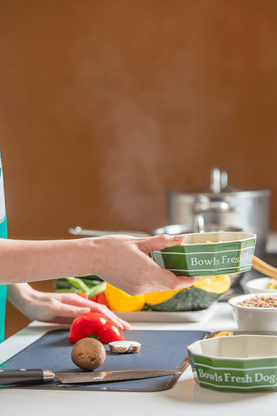 うちの子だけのオーダーメイド無添加療法食 Bowls Care ボウルズケア