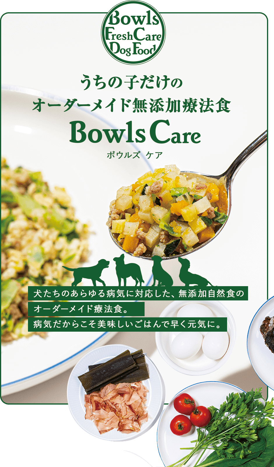 うちの子だけのオーダーメイド無添加療法食 Bowls Care ボウルズケア