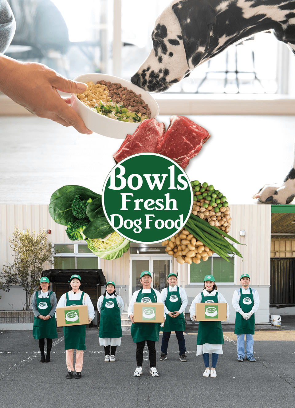 Bowls Fresh Dog Food