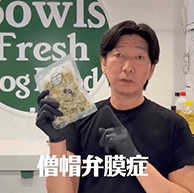 動画を見る