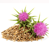 チキンと秋冬野菜