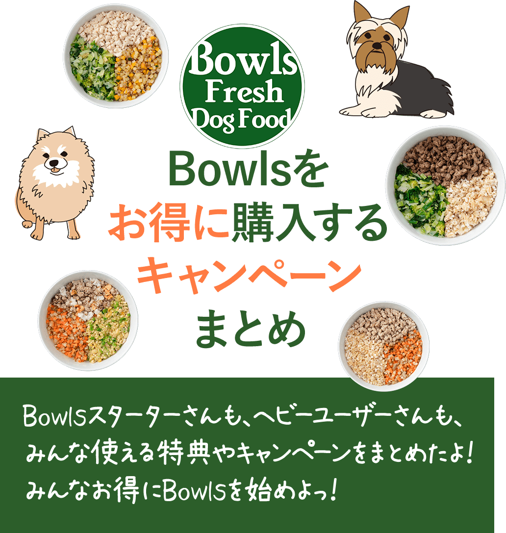 Bowlsをお得に購入するキャンペーンまとめ