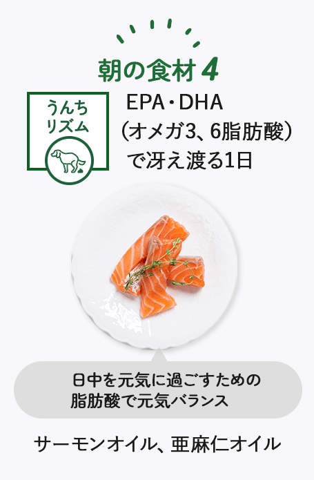 朝食材4
