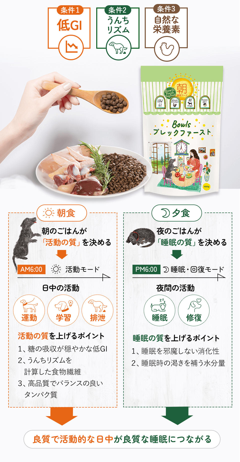 低GI、うんちリズム、自然な栄養素