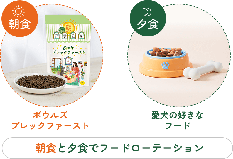 朝と夜でフードローテーション