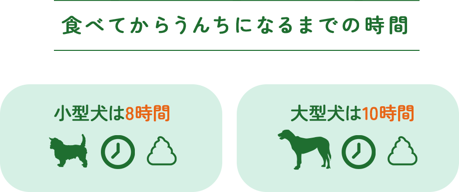 うんちリズム