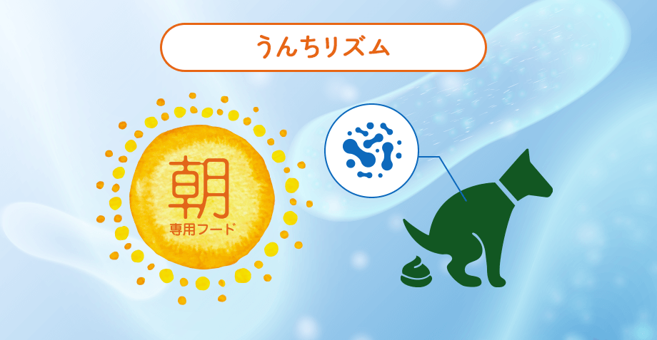 うんちリズム