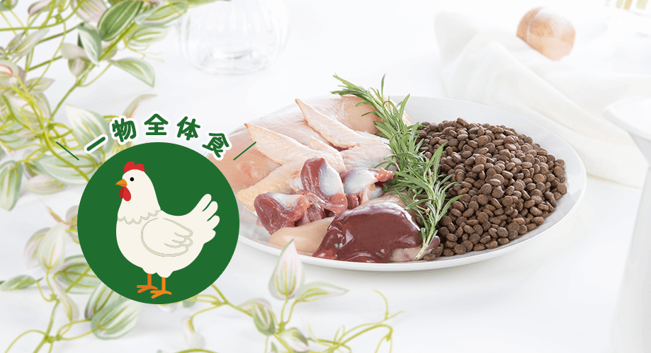一物全体食