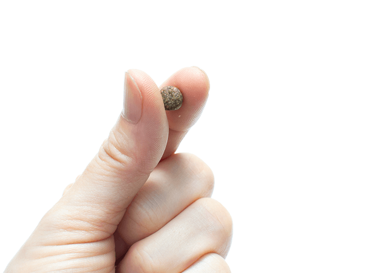 thumb5