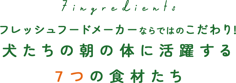 フレッシュフードメーカーならではのこだわり！犬たちの朝の体に活躍する7つの食材たち
