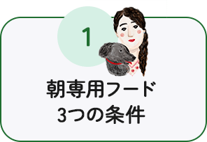 朝専用フード3つの条件