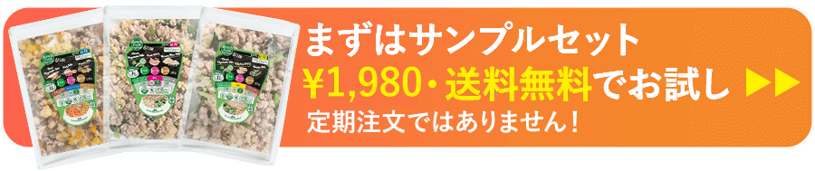 まずはサンプルから