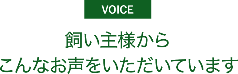 飼い主様からこんなお声をいただいています