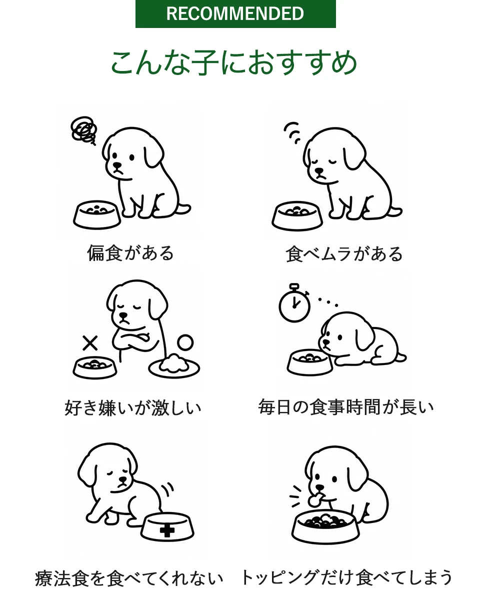 こんな子におすすめ