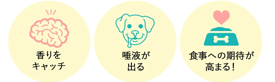香りをキャッチ 唾液が出る 食事への期待が高まる